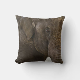 Elephant hoch Nah Kissen