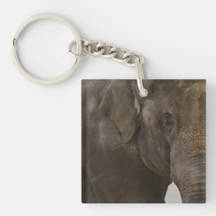 Elephant hoch Nah Schlüsselanhänger