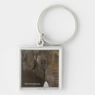 Elephant hoch Nah Schlüsselanhänger