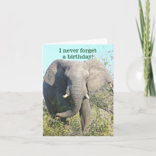 ELEPHANT/I VERGESSEN NIE EIN BIRTHDAY/EXCEPT IHR KARTE