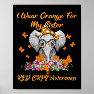 Elephant ich trage Orange für meine Schwester Rsd Poster