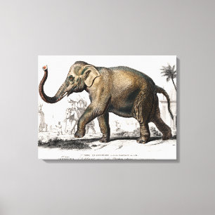 Elephant Illustration Vintag Art Print Leinwanddruck