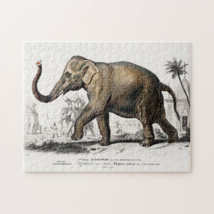 Elephant Illustration Vintag Art Print Puzzle