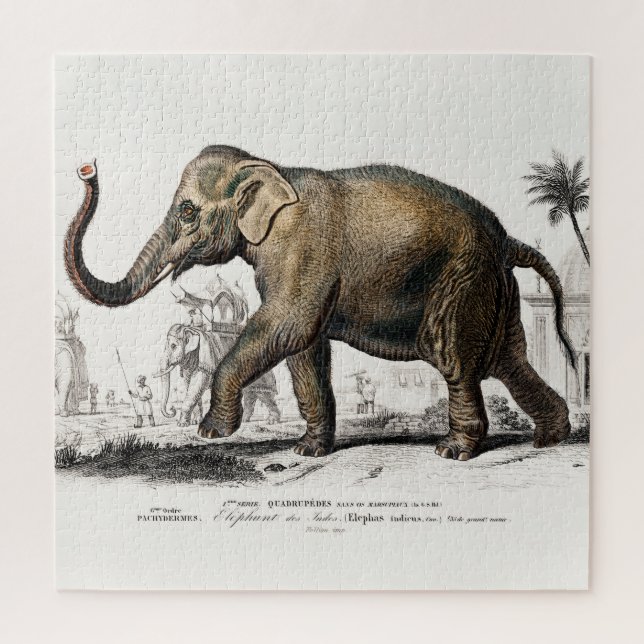 Elephant Illustration Vintag Art Print Puzzle (Vertikal)