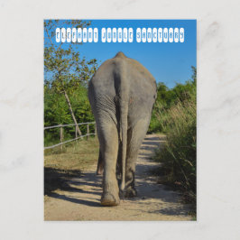 Elephant Jungle Sanctuary Postkarte