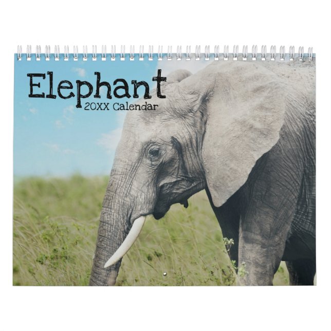 Elephant Kalender (Titelbild)