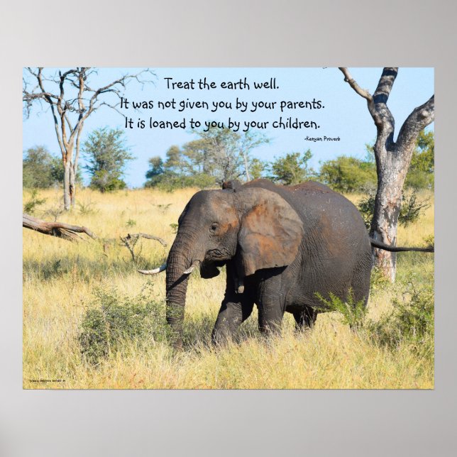Elephant Kenya Proverb Poster (Vorne)