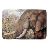 Elephant Lovers Art