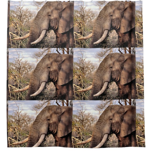 Elephant Lovers Art Duschvorhang (Vorderseite)