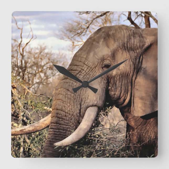 Elephant Lovers Art Quadratische Wanduhr (Vorderseite)