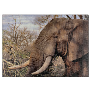 Elephant Lovers Art Schneidebrett
