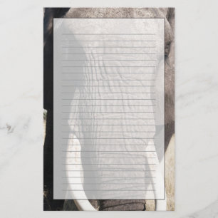Elephant (Loxodonta africana), Abu Camp 3 Briefpapier