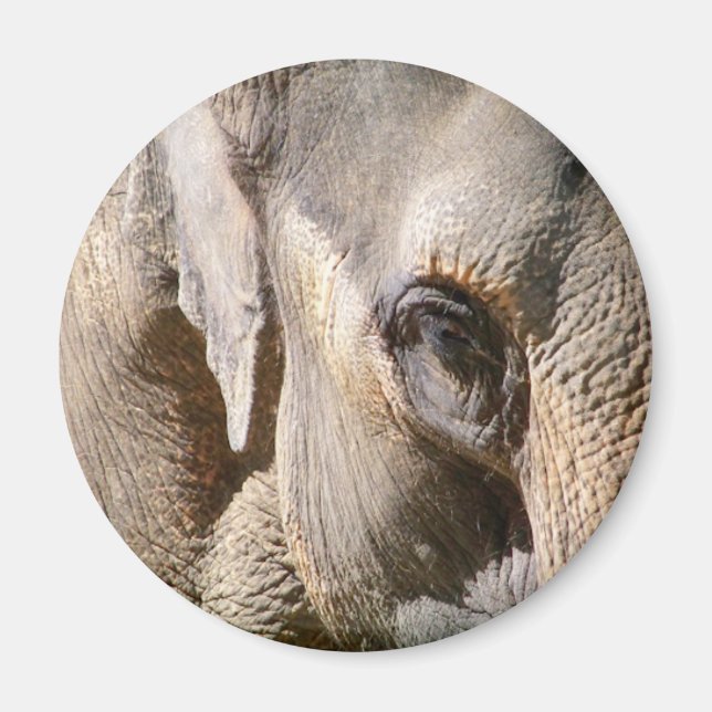 ELEPHANT MAGNET (Vorne)