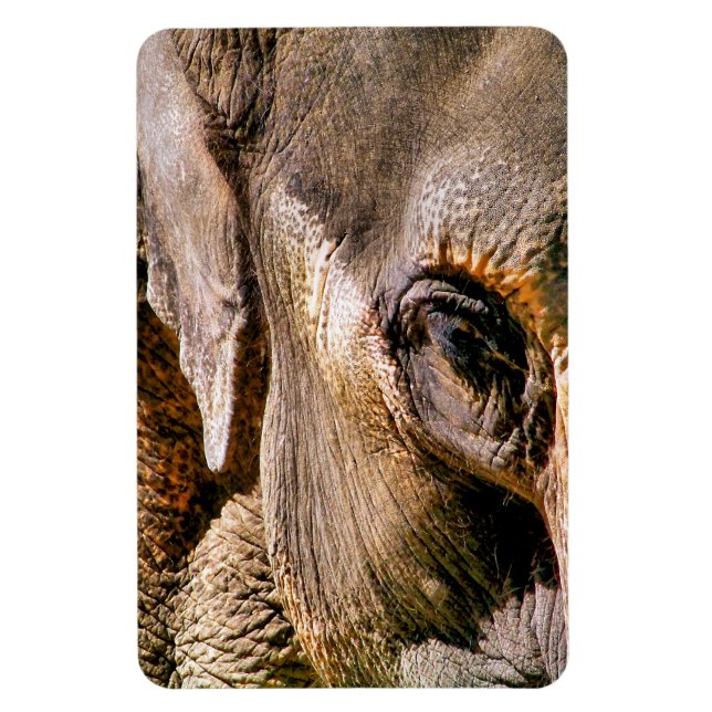 ELEPHANT MAGNET (Vertikal)