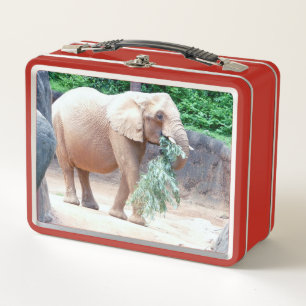 Elephant Metall Brotdose