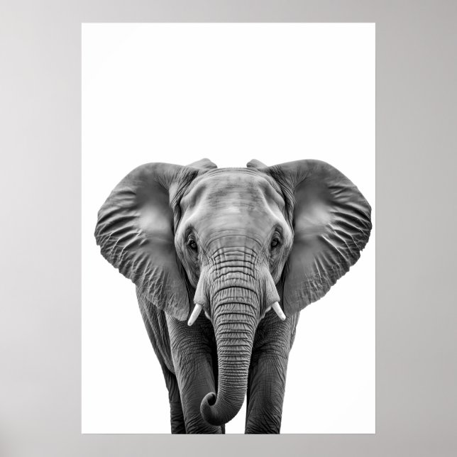 Elephant Modern Schwarz-weiß Poster (Vorne)