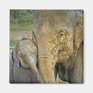 Elephant Newborn Hug Magnet