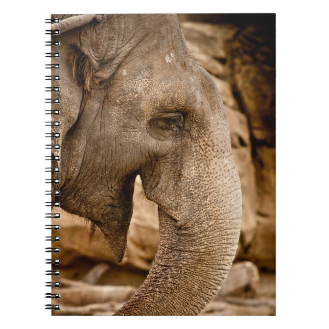 ELEPHANT NOTIZBLOCK (Vorderseite)