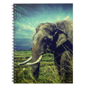 Elephant Notizblock