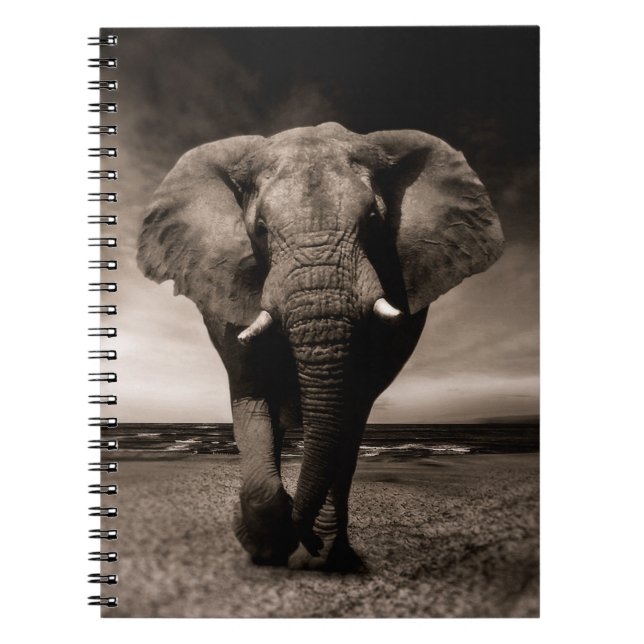 Elephant Notizblock (Vorderseite)