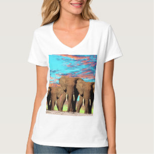 Elephant Opal Sunrise, Ladys Vneck T-Shirt