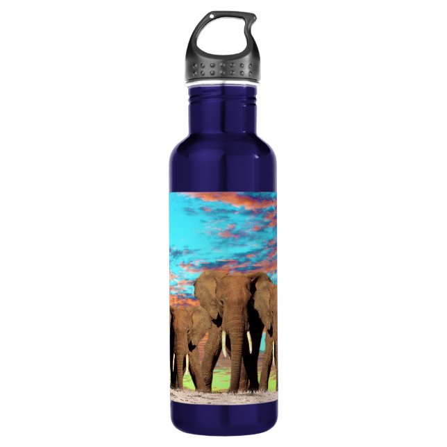 Elephant Opal Sunrise, Wasserflasche Edelstahlflasche (Vorderseite)