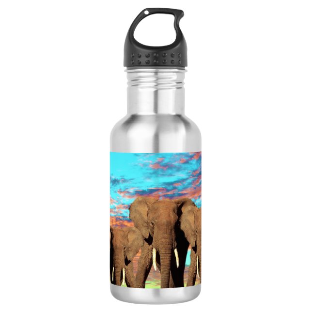 Elephant Opal Sunrise, Wasserflasche Edelstahlflasche (Vorderseite)