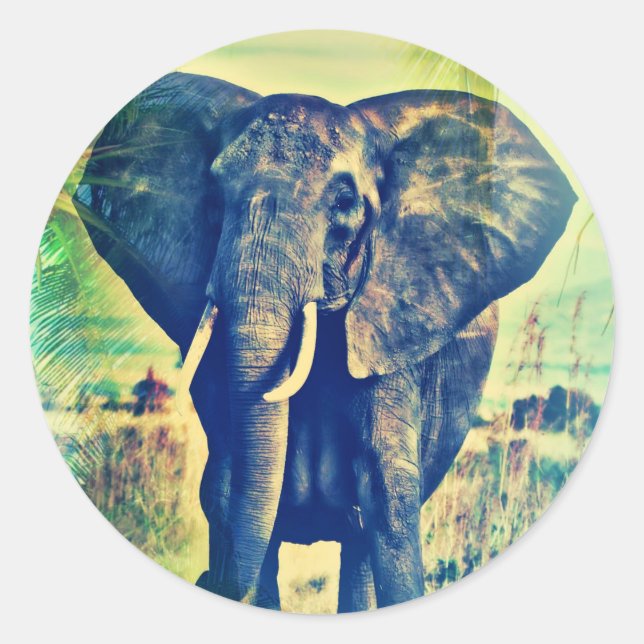 Elephant Palms Runder Aufkleber (Vorderseite)