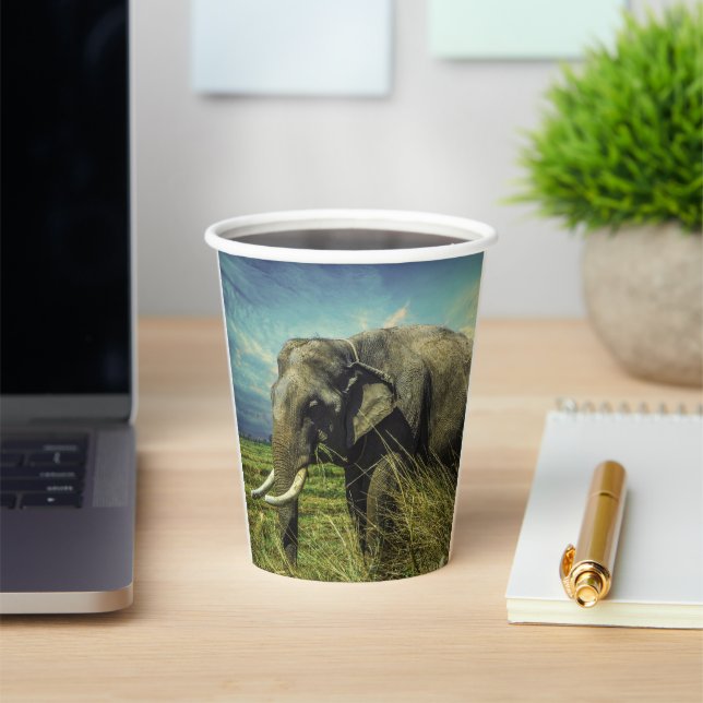 Elephant Pappbecher (InSitu)