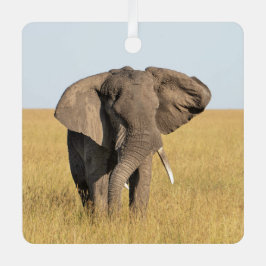 Elephant Personalize Name Foto Weihnachten Ornament Aus Metall