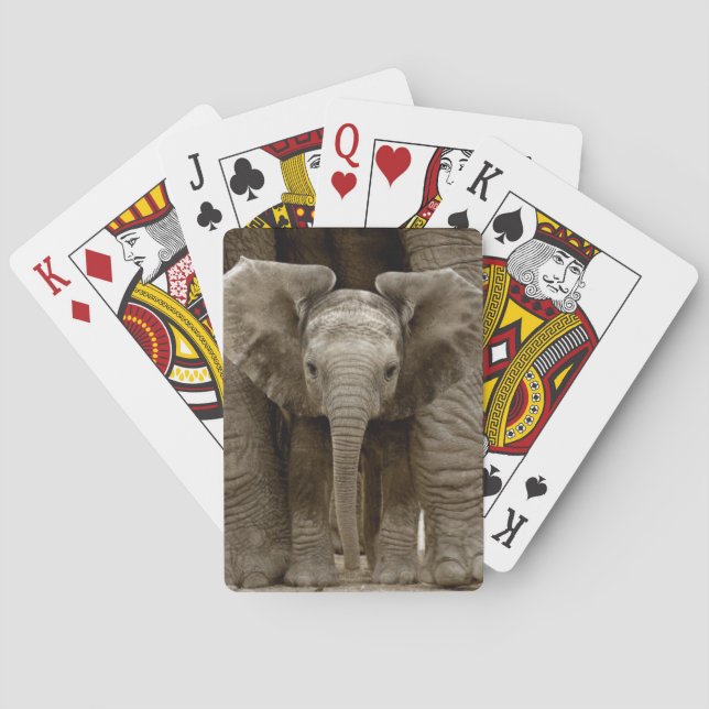 Elephant Playing Cards Spielkarten (Rückseite)