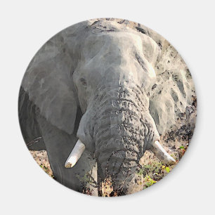 Elephant Pop Art Magnet