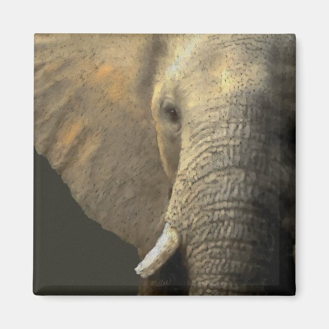 Elephant Portrait Magnet (Vorne)