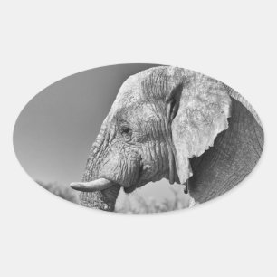 Elephant portrait ovaler aufkleber