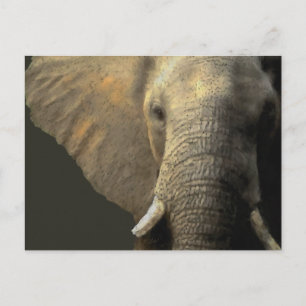 Elephant Portrait Postkarte