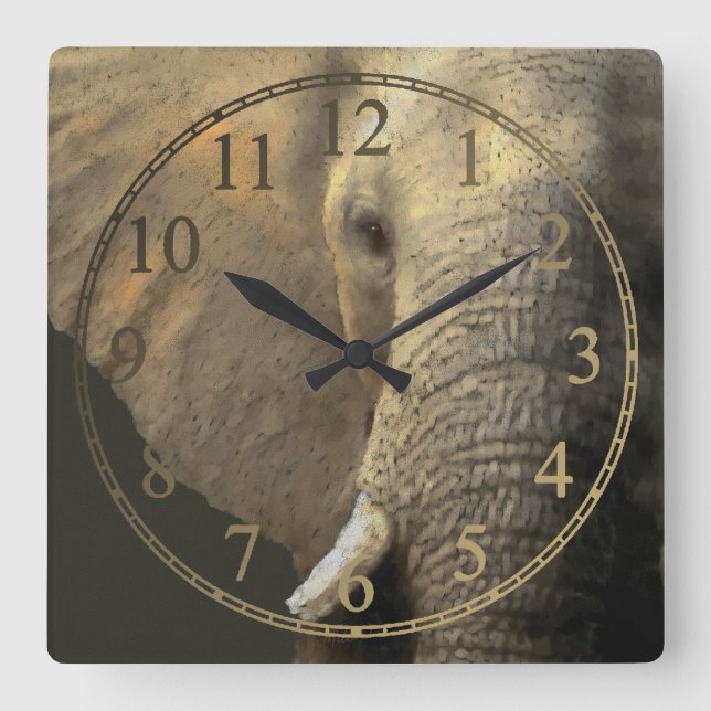 Elephant Portrait Quadratische Wanduhr (Vorderseite)