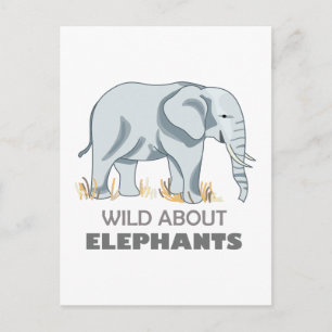 ELEPHANT POSTKARTE