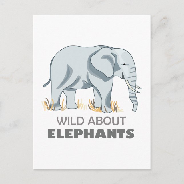 ELEPHANT POSTKARTE (Vorderseite)