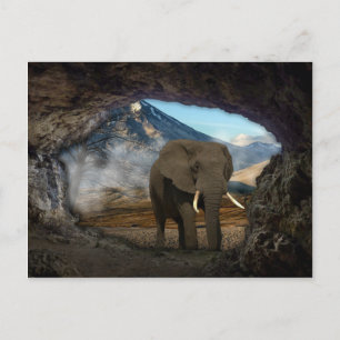 Elephant Postkarte