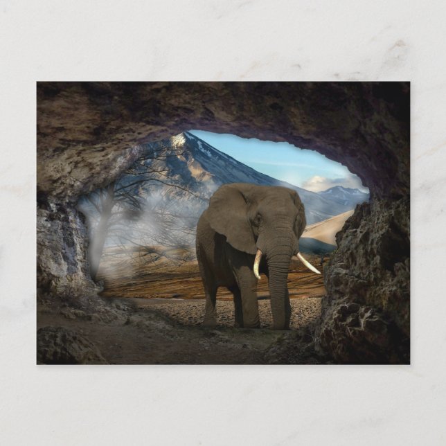 Elephant Postkarte (Vorderseite)