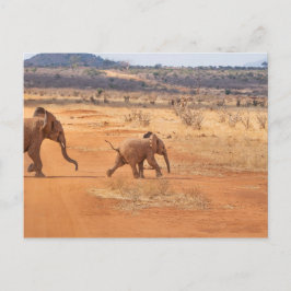 Elephant Postkarte