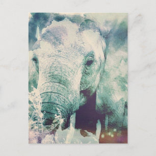 Elephant Postkarte