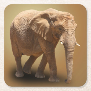 ELEPHANT RECHTECKIGER PAPPUNTERSETZER
