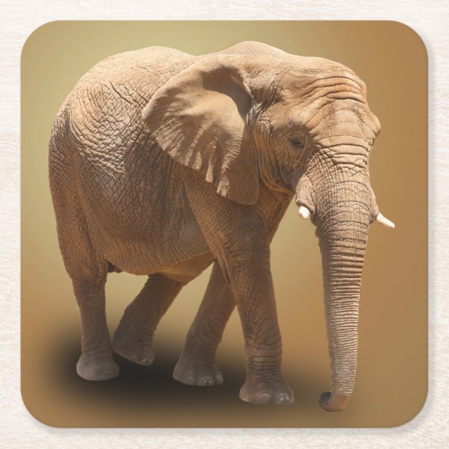 ELEPHANT RECHTECKIGER PAPPUNTERSETZER (Vorderseite)