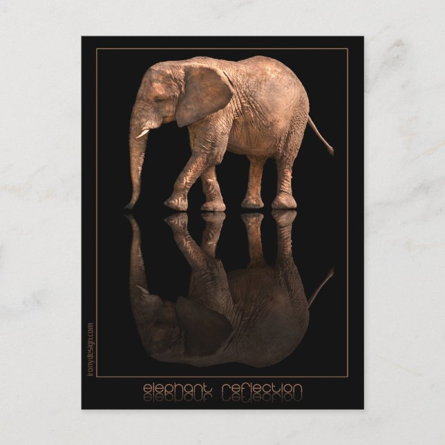 Elephant Reflection Postcard Postkarte (Vorderseite)