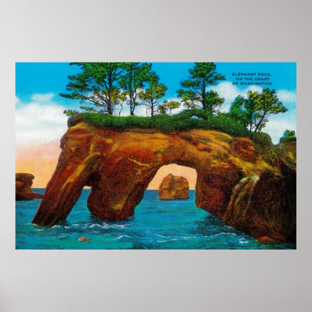 Elephant Rock an der Washington Coast Poster (Vorne)