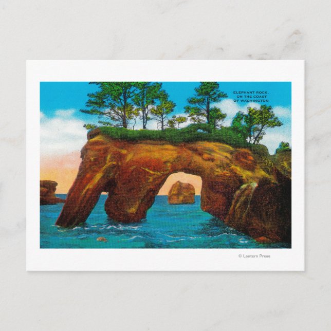 Elephant Rock an der Washington Coast Postkarte (Vorderseite)