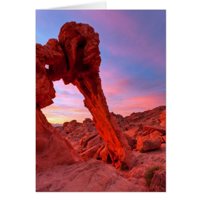 Elephant Rock Morning Glow (Vorne)