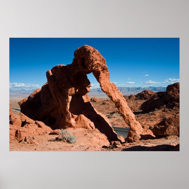 Elephant Rock Poster (Vorne)