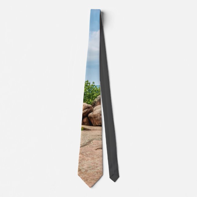 Elephant Rocks Staat Park Neck Tie Krawatte (Vorderseite)